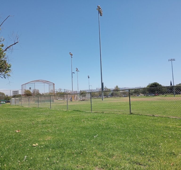 Soccer Field image 2