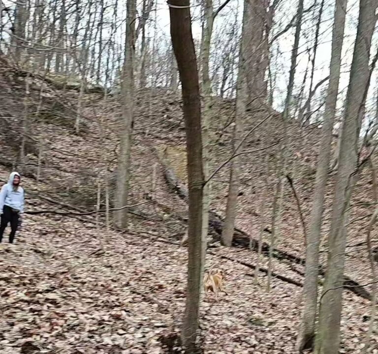 Soccer Field image 3