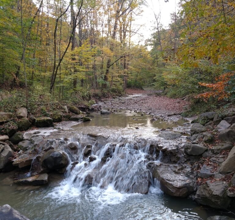 Soccer Field image 2