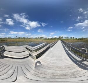 Soccer Field image 3