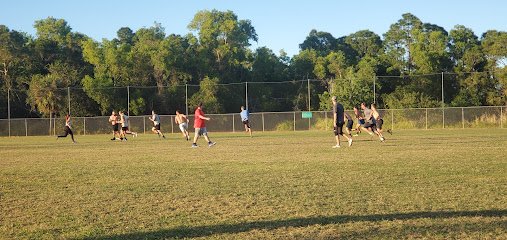 Soccer Field image 1