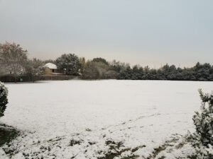 Soccer Field image 1