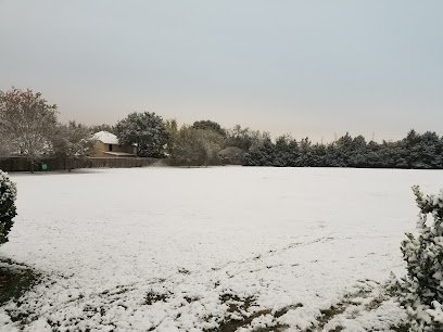 Soccer Field image 1