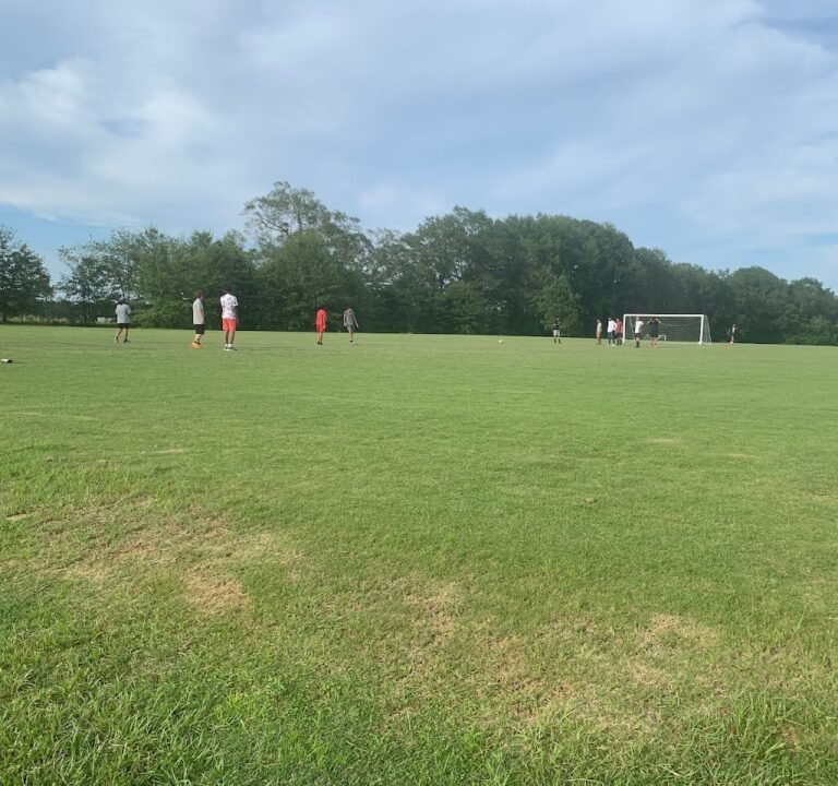 Soccer Field image 2