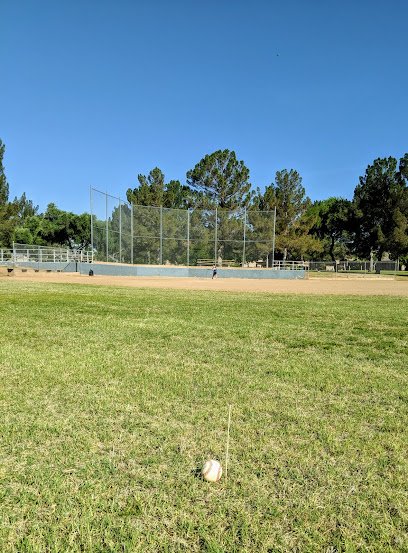 Soccer Field image 1