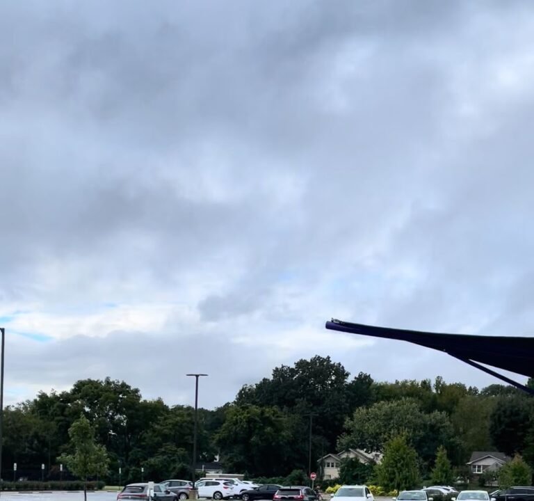 Soccer Field image 3