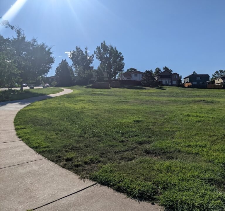 Soccer Field image 2