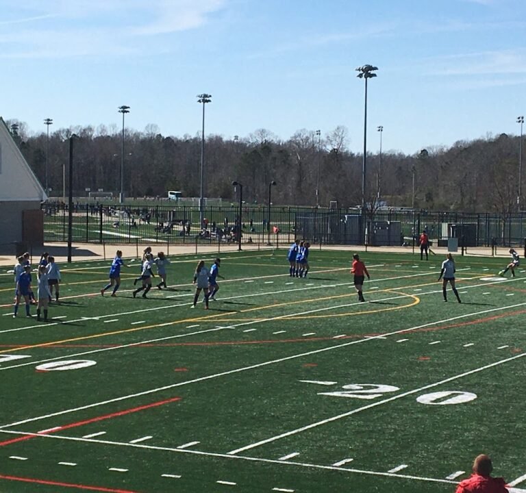 Soccer Field image 2