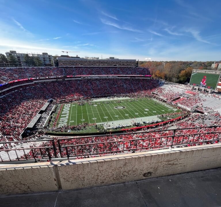 Soccer Field image 2