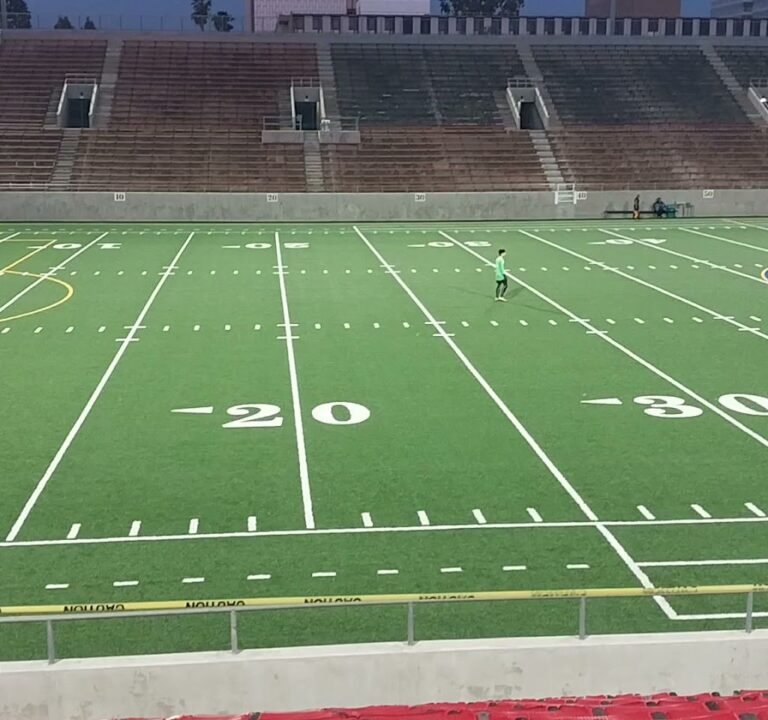 Soccer Field image 3