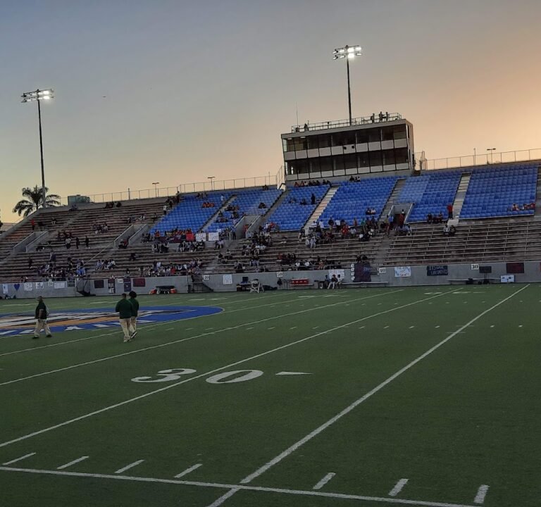 Soccer Field image 2