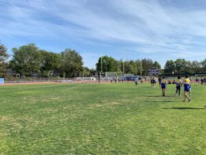 Soccer Field image 1