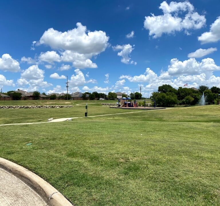 Soccer Field image 2