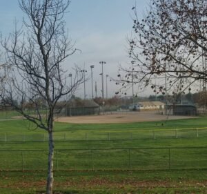 Soccer Field image 4
