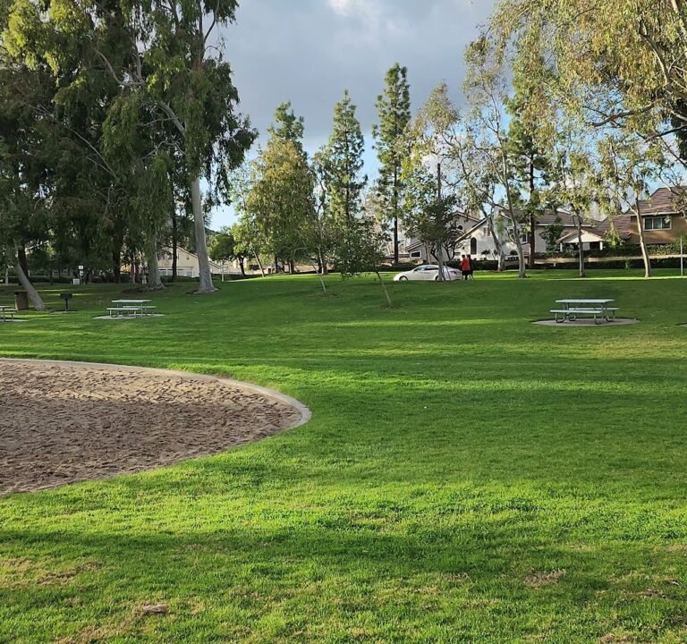 Soccer Field image 3