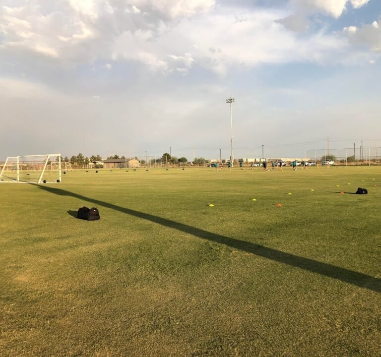 Soccer Field image 3
