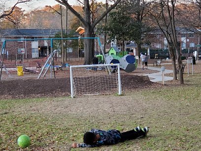Soccer Field image 1