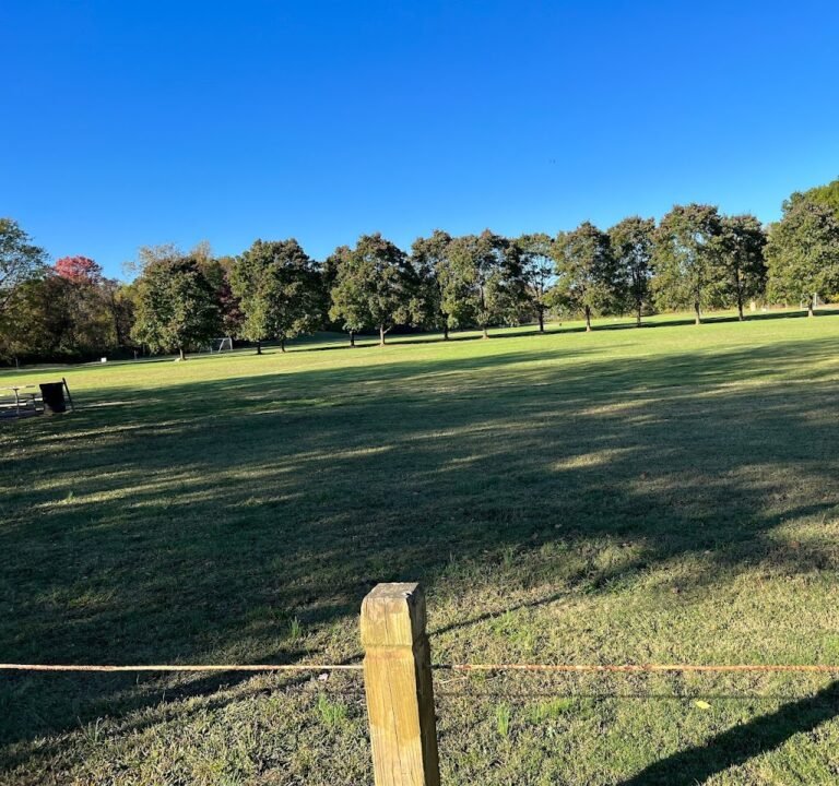 Soccer Field image 2