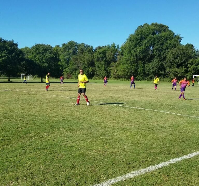 Soccer Field image 3