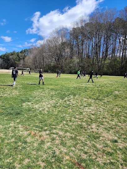 Soccer Field image 1