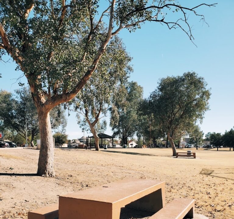 Soccer Field image 2