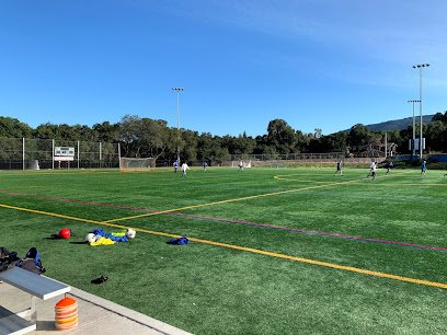 Soccer Field image 1