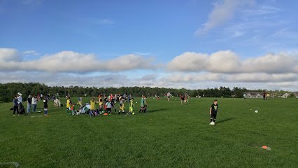 Soccer Field image 1