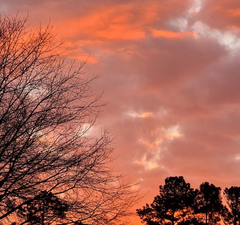 Soccer Field image 3
