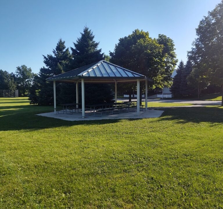 Soccer Field image 2