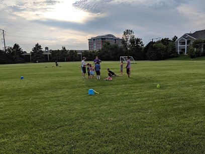 Soccer Field image 1