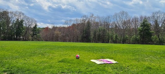 Soccer Field image 1
