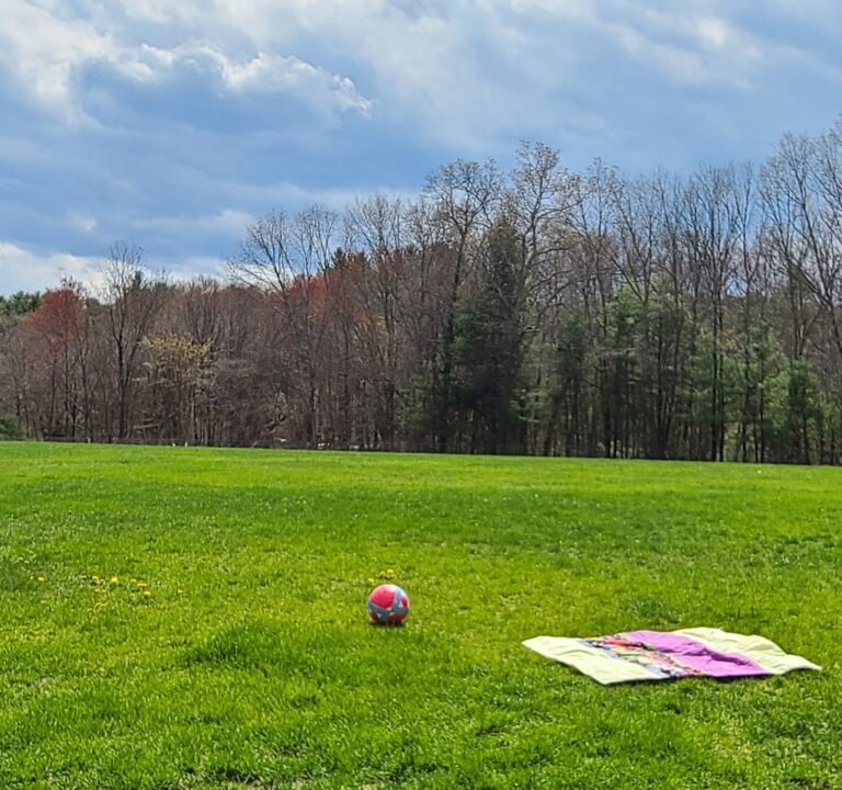 Soccer Field image 2