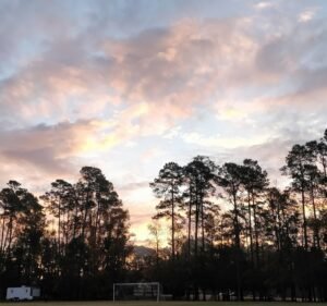 Soccer Field image 2