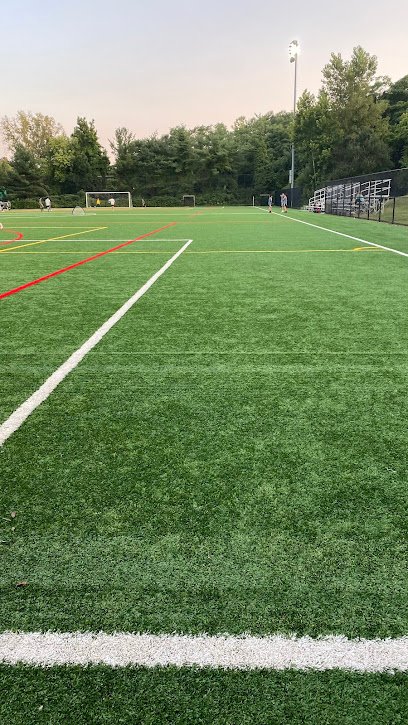 Soccer Field image 1