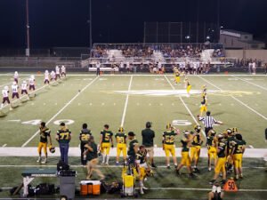 Soccer Field image 1