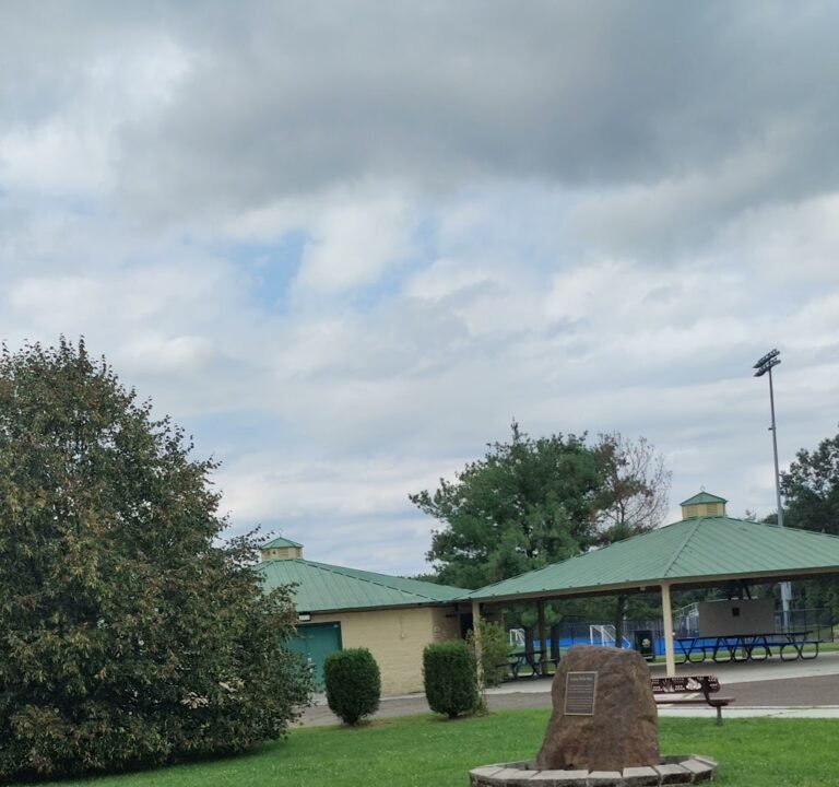 Soccer Field image 4