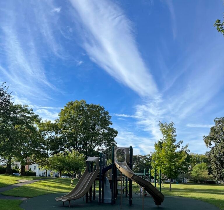 Soccer Field image 2