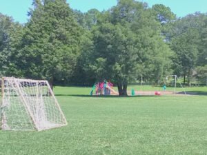 Soccer Field image 1