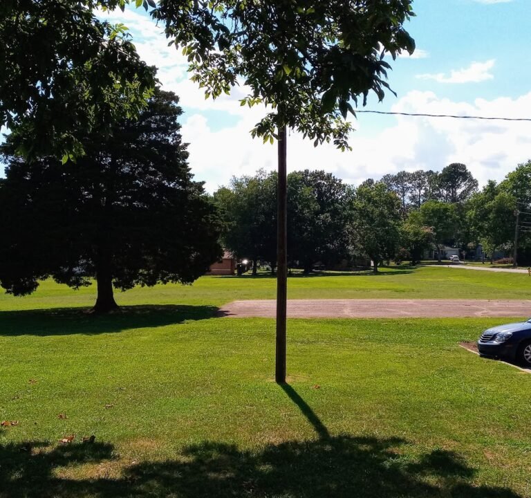 Soccer Field image 2
