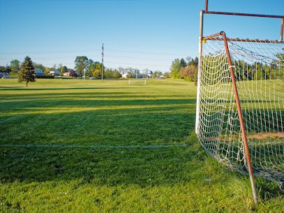 Soccer Field image 1