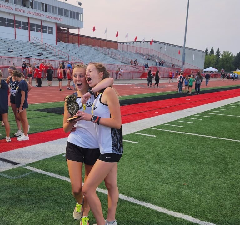 Soccer Field image 2