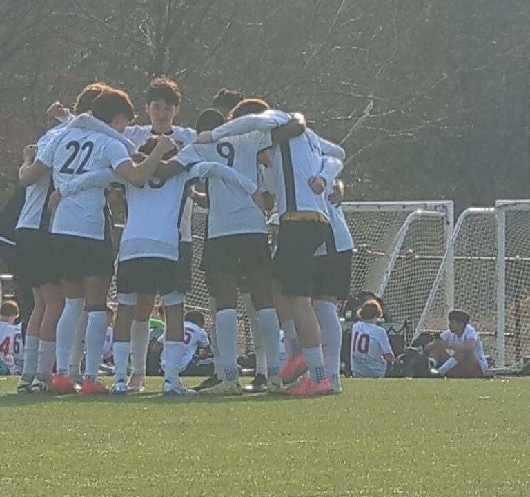 Soccer Field image 3