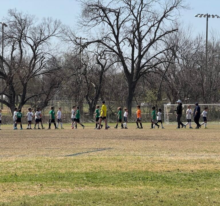 Soccer Field image 3