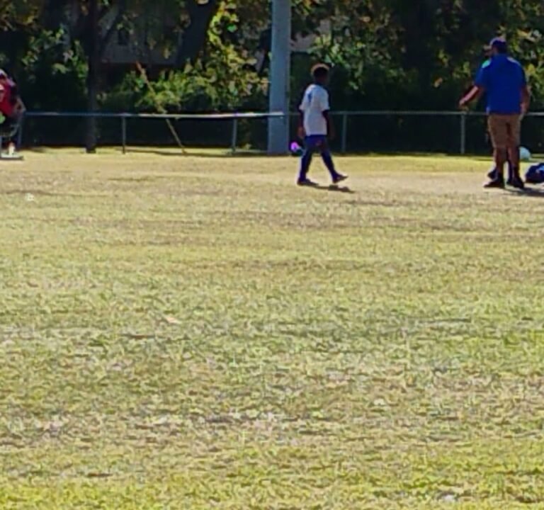 Soccer Field image 4