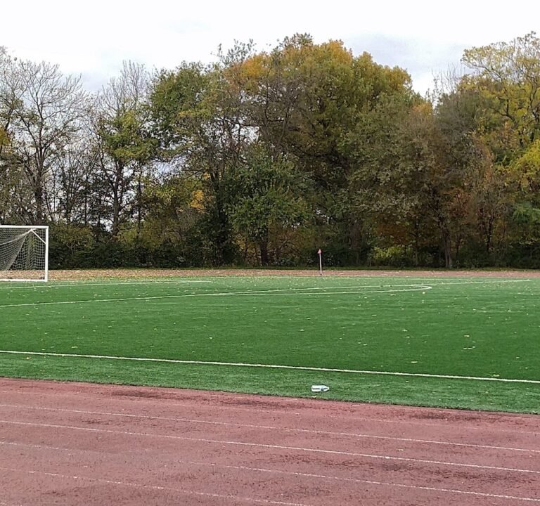 Soccer Field image 2