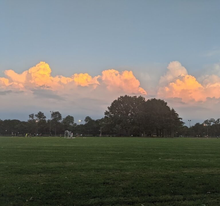 Soccer Field image 3