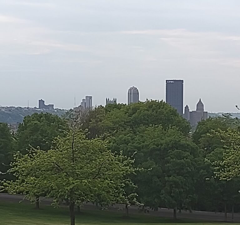 Soccer Field image 2