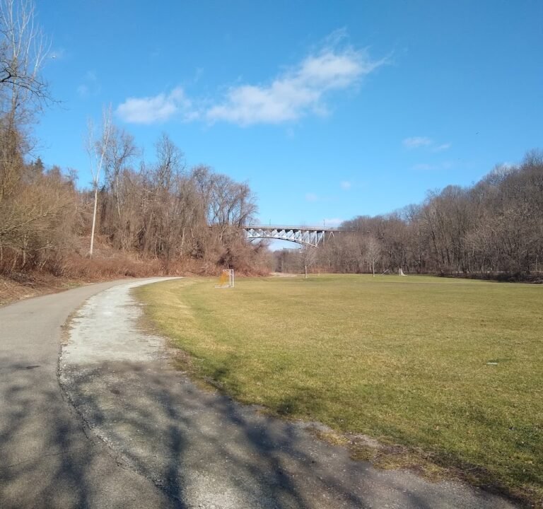 Soccer Field image 2