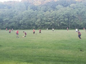 Soccer Field image 1