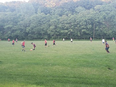 Soccer Field image 1